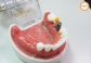 2012 台北Basic(9,10)_6