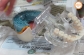 2012 高雄Basic-3_8
